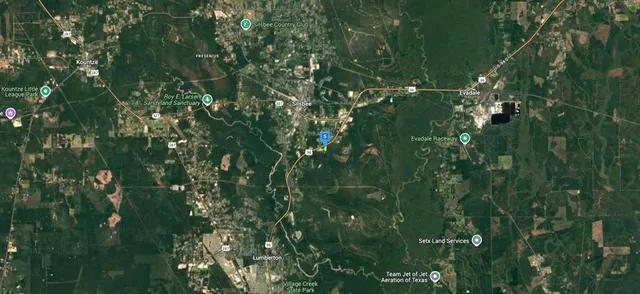 a view of a lush green forest