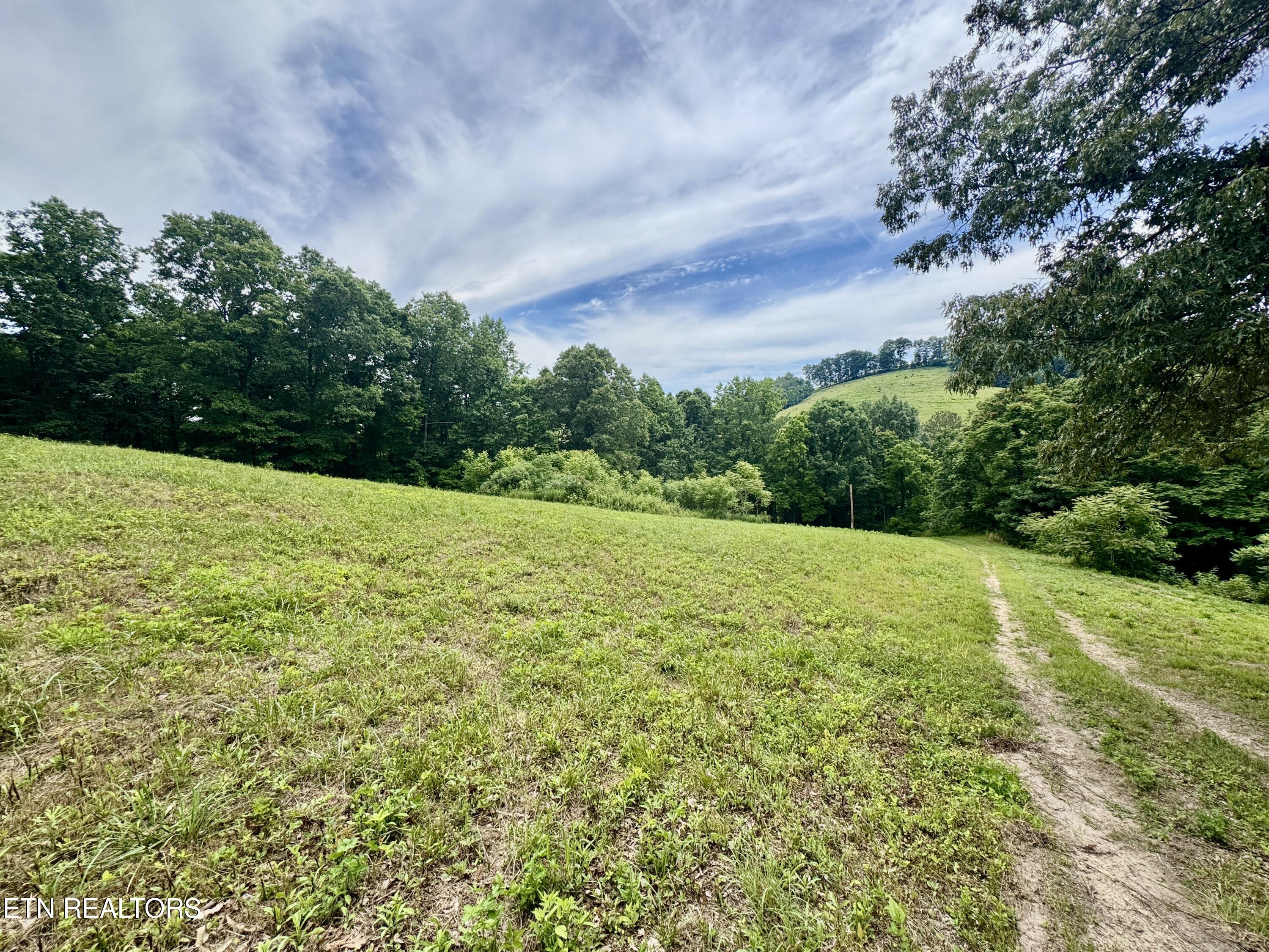 378 Johnson Hollow Road New Tazewell, TN 37825 - Photo 14 of 35 1-14