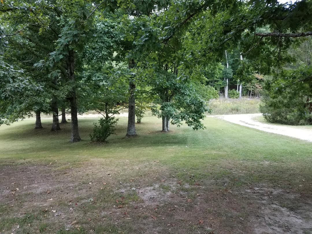 1899 Helenwood Loop Road Helenwood, TN 37755 - Photo 3 of 37 front yard