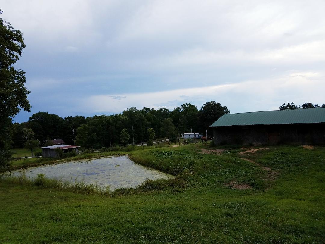 1899 Helenwood Loop Road Helenwood, TN 37755 - Photo 29 of 37 pondbarn