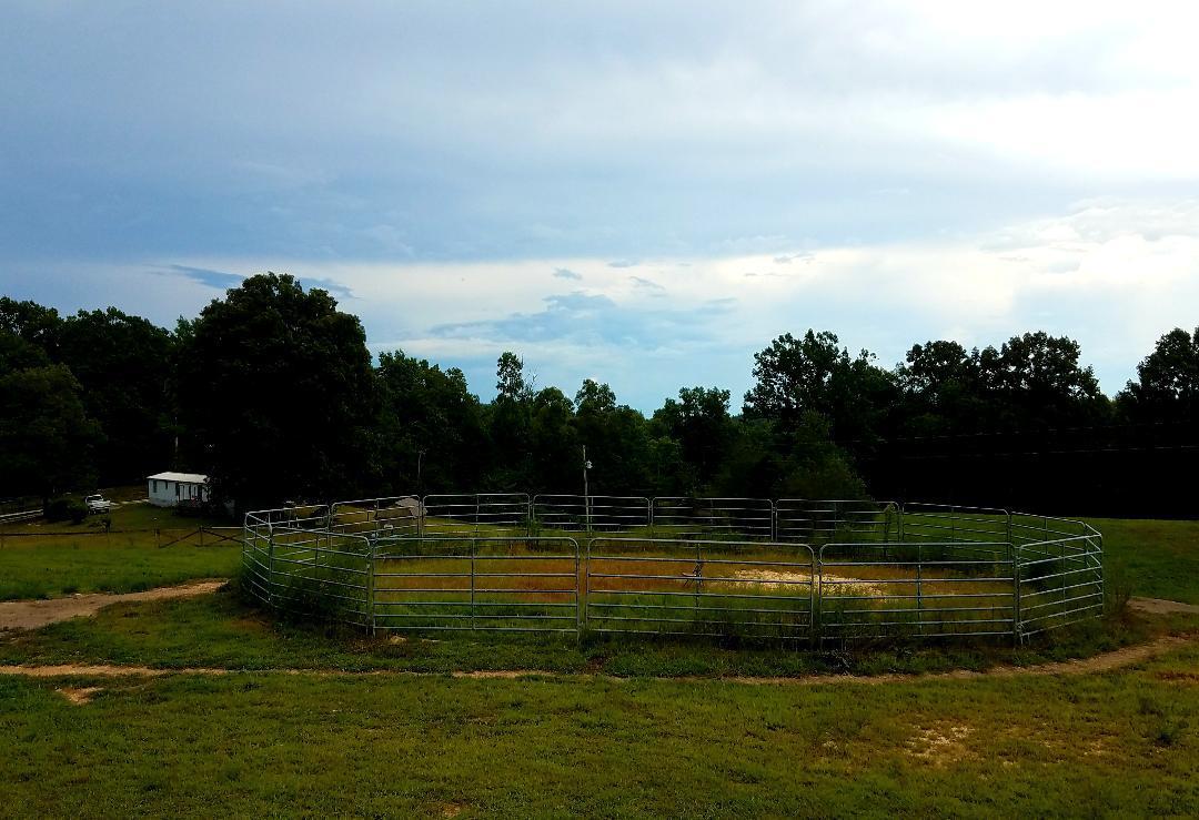 1899 Helenwood Loop Road Helenwood, TN 37755 - Photo 31 of 37 round pen