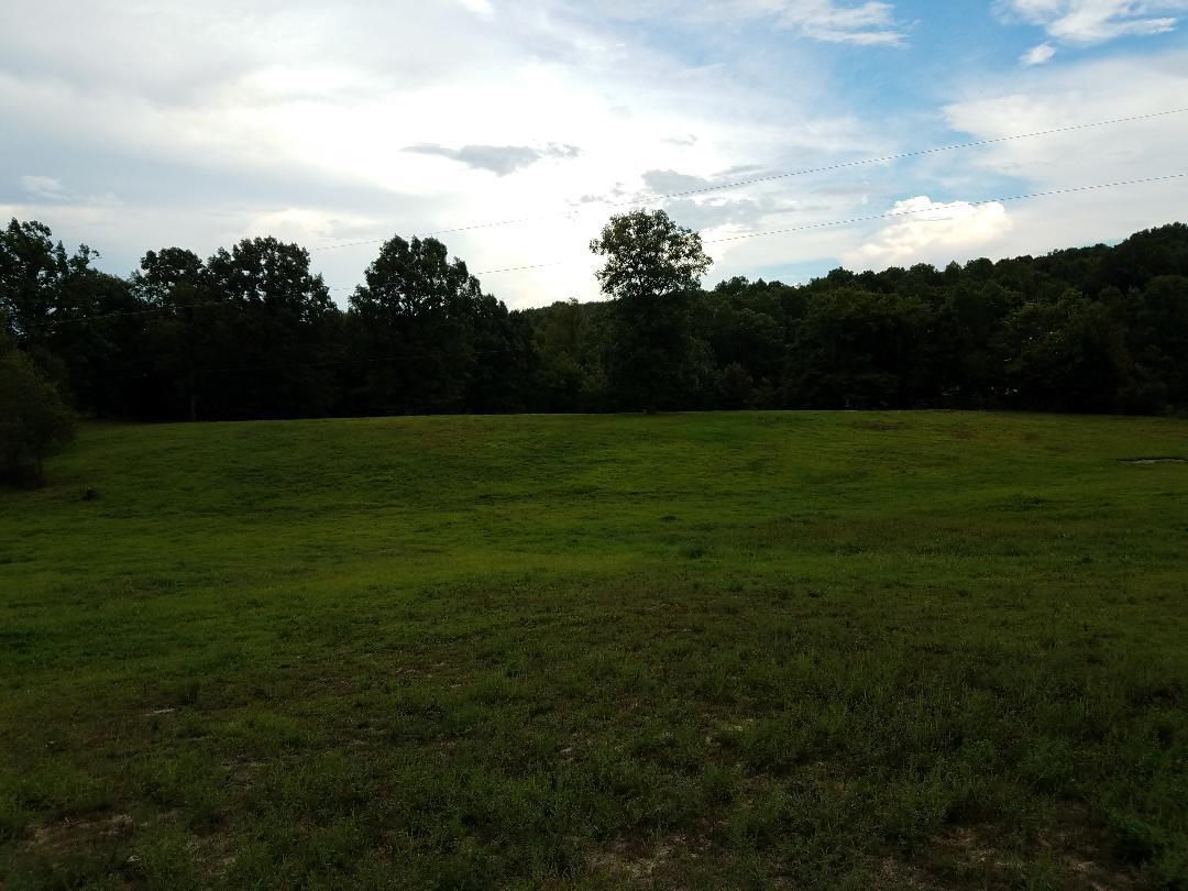 1899 Helenwood Loop Road Helenwood, TN 37755 - Photo 33 of 37 pasture