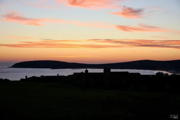 a view of an ocean from a yard