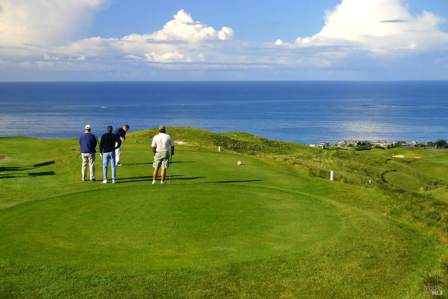 21165 Hummingbird Court Bodega Bay, CA 94923 - Photo 21 of 26 a view of a golf course with a lake