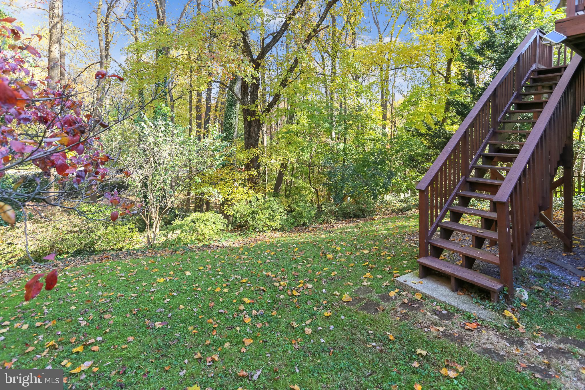 309 Windsor Street Silver Spring, MD 20910 - Photo 50 of 64 Gallery Image 50