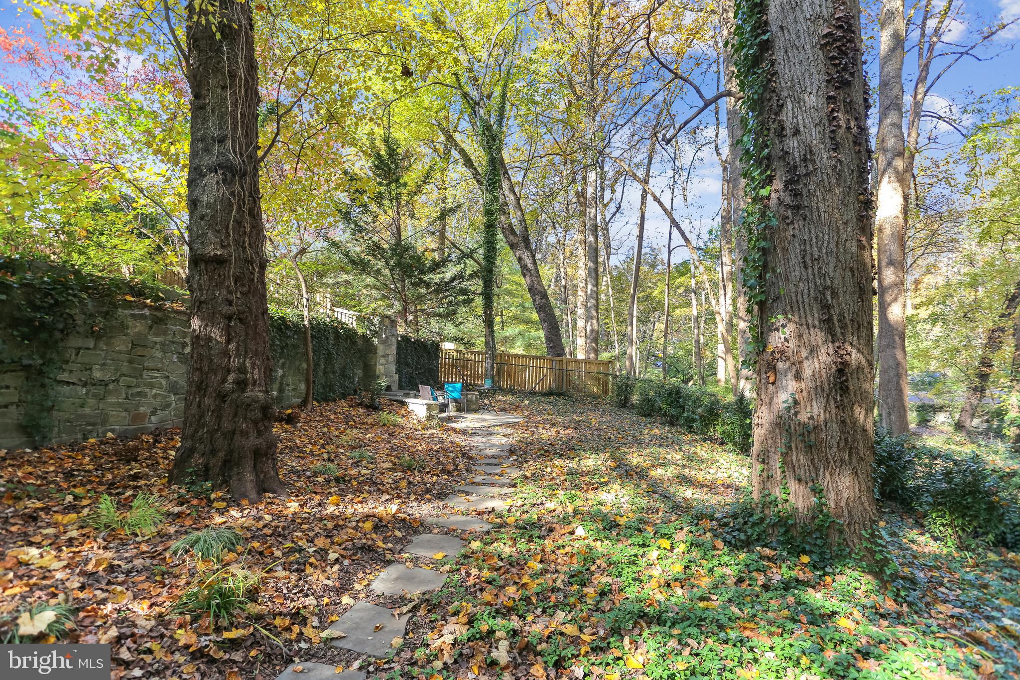 309 Windsor Street Silver Spring, MD 20910 - Photo 51 of 64 Gallery Image 51