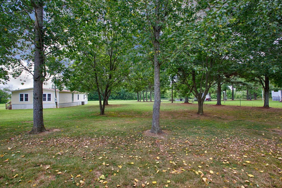 272 Jones Road Taft, TN 38488 - Photo 37 of 40 a view of a tree in the middle of a park