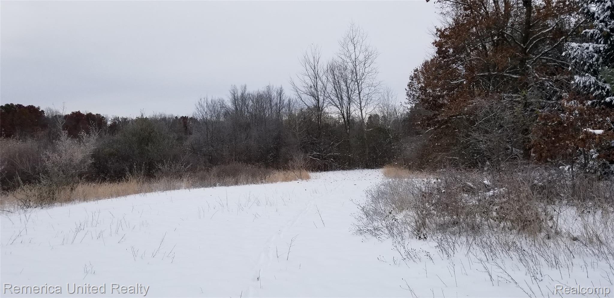 2007 Gannon Road Howell, MI 48855 - Photo 90 of 93 20191113_093952.jpg