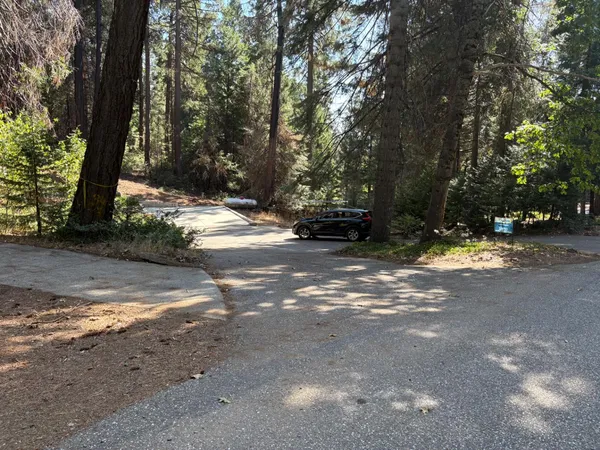 a view of road with trees