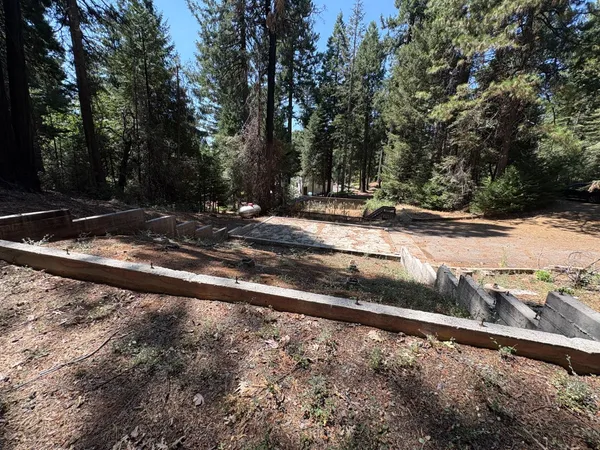 a view of a yard with a street