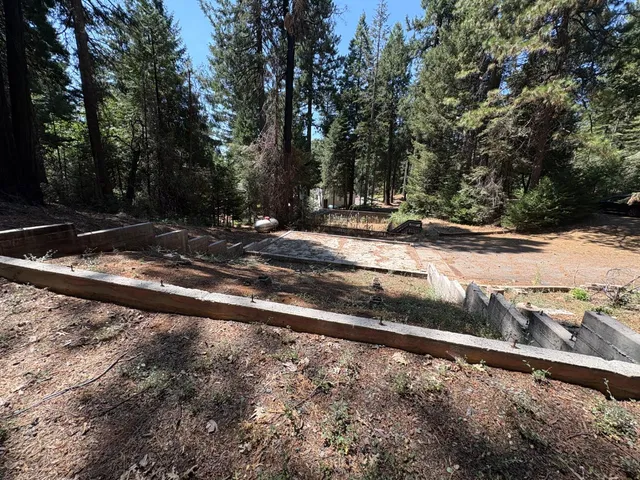 a view of a yard with a street