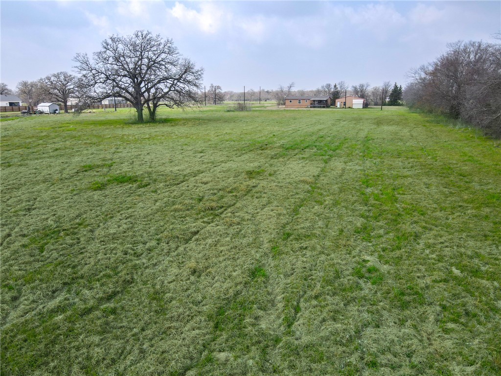 10826 Forsthoff Road Bryan, TX 77808 - Photo 7 of 11 a view of field with tree s