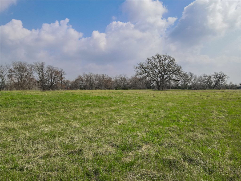 10826 Forsthoff Road Bryan, TX 77808 - Photo 9 of 11 a view of a field with trees in the background