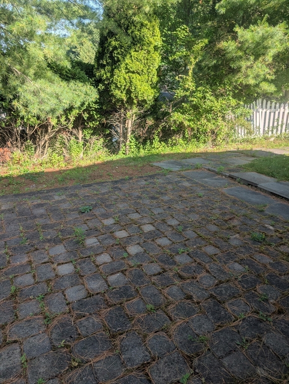 53 Wagon Hill Road Marlborough, MA 01752 - Photo 28 of 32 a view of dirt yard with a trees