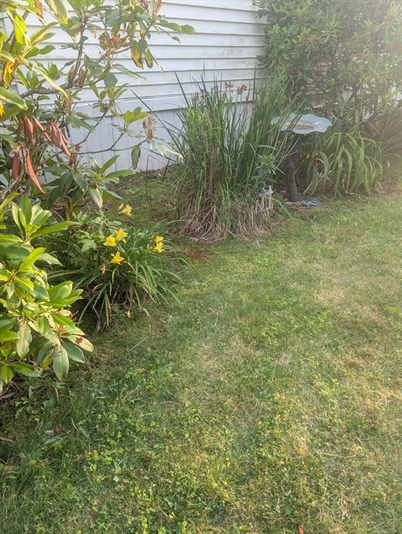 53 Wagon Hill Road Marlborough, MA 01752 - Photo 31 of 32 a view of a yard