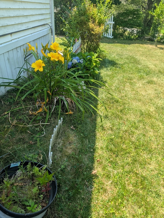 53 Wagon Hill Road Marlborough, MA 01752 - Photo 6 of 32 a view of a yard in a garden