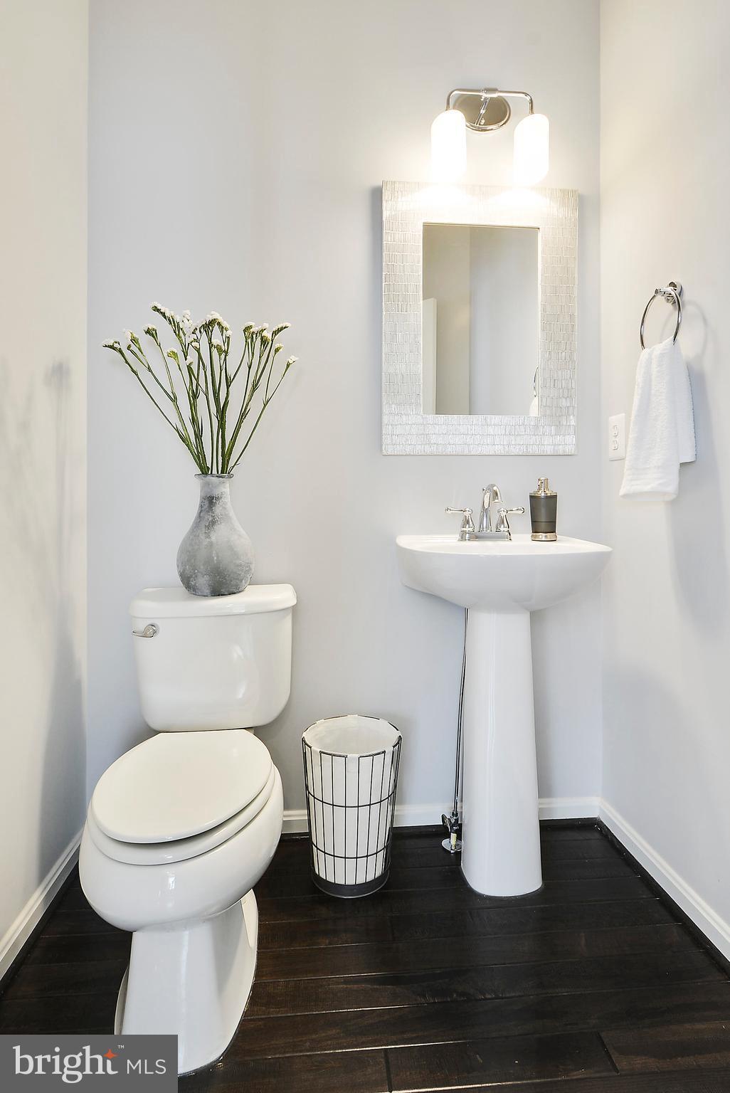 22652 Gray Falcon Square Ashburn, VA 20148 - Photo 16 of 28 Main Level Powder Room