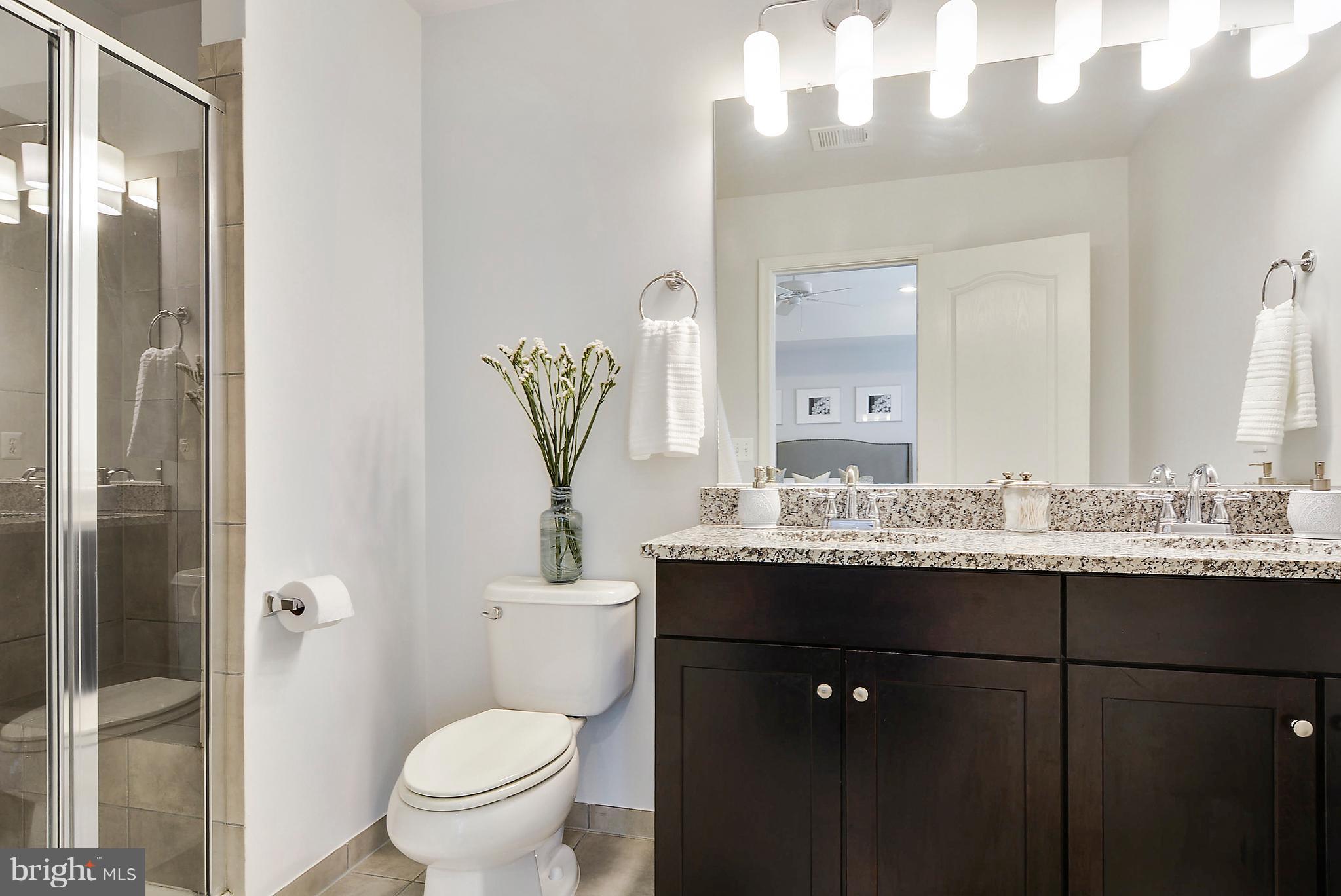 22652 Gray Falcon Square Ashburn, VA 20148 - Photo 20 of 28 Bath (Master)