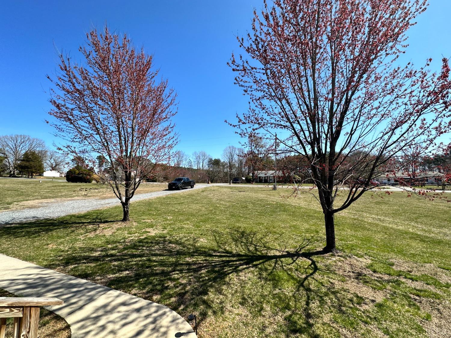 137 Rhonda Road Rustburg, VA 24588 - Photo 44 of 50 a large tree in the middle of a yard