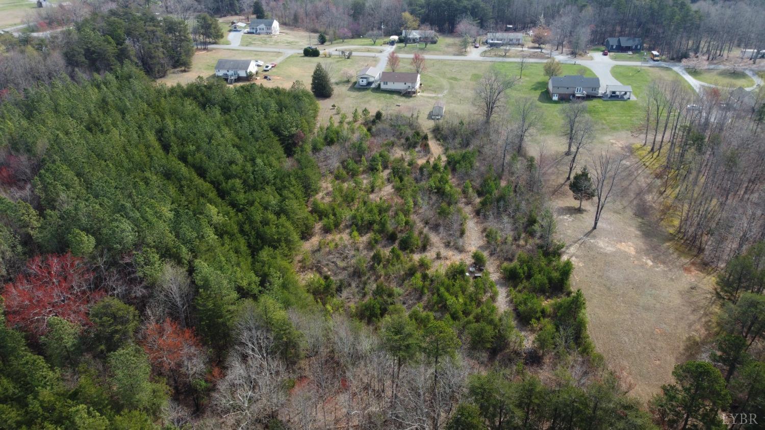 137 Rhonda Road Rustburg, VA 24588 - Photo 48 of 50 a view of a lake in a forest