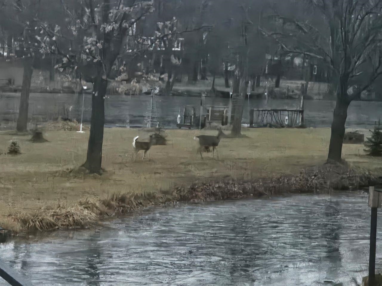 120 Rohrer Street Clintonville, WI 54929 - Photo 12 of 13