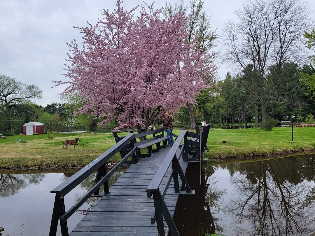 120 Rohrer Street Clintonville, WI 54929 - Photo 4 of 13