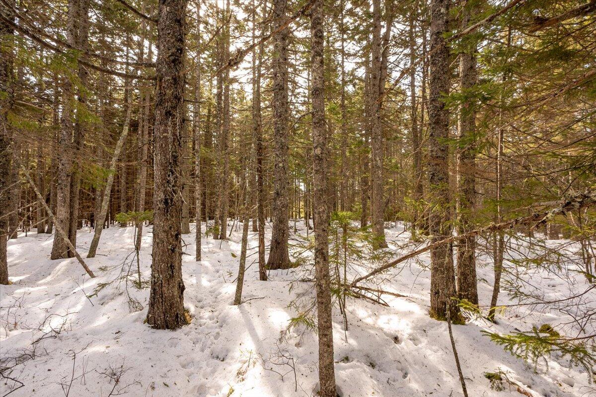 Lot 13 Nahanada Road New Harbor, ME 04554 - Photo 20 of 94 07-Nahanda-3