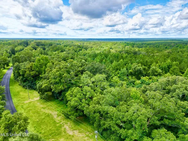 $260,000 | 190 Gumpond Beall Road, Lumberton, MS 39455