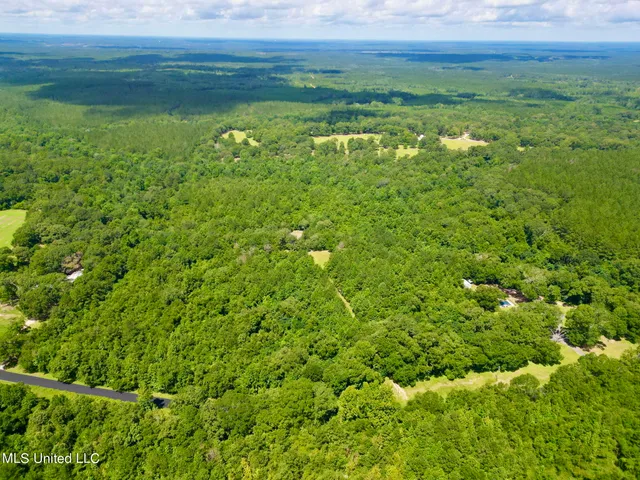 $260,000 | 190 Gumpond Beall Road, Lumberton, MS 39455