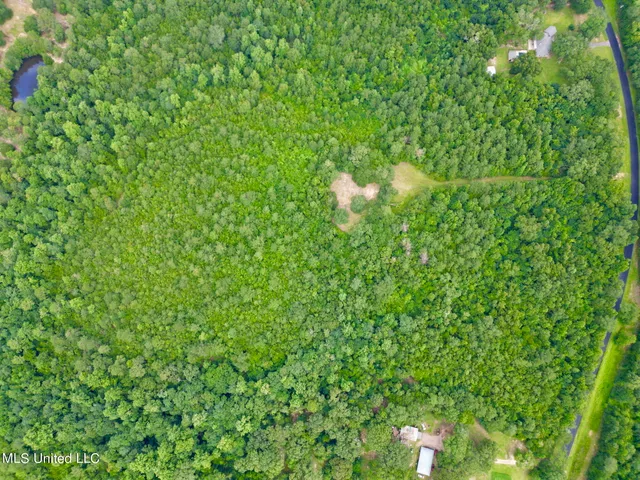 $260,000 | 190 Gumpond Beall Road, Lumberton, MS 39455