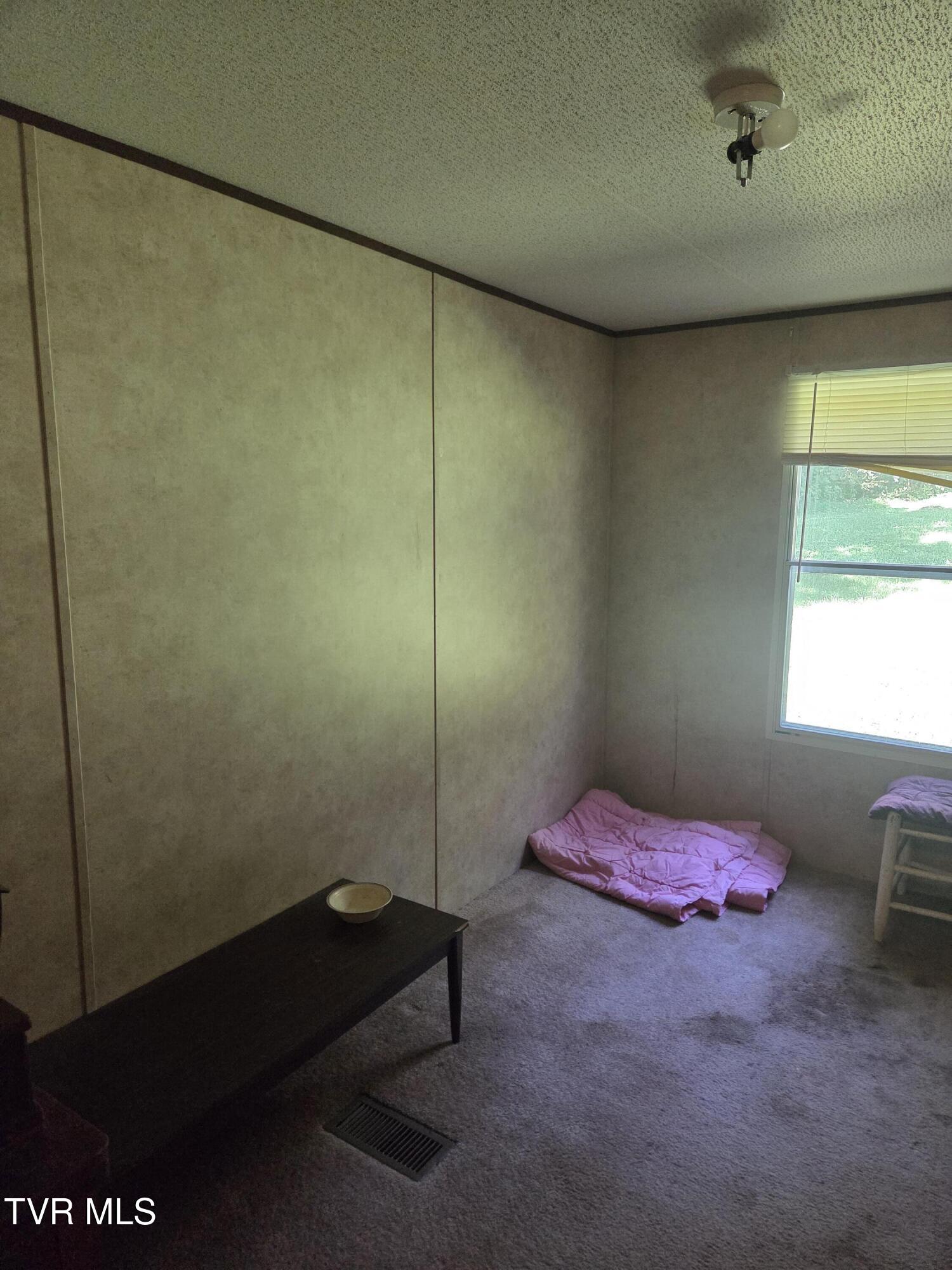 221 Cassi Road Chuckey, TN 37641 - Photo 11 of 13 1000002930