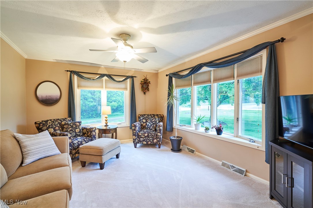 3145 Franks Road Clinton, OH 44216 - Photo 3 of 28 Living area with ceiling fan, healthy amount of natural light, ornamental molding, carpet and a bayed window to enjoy the views.