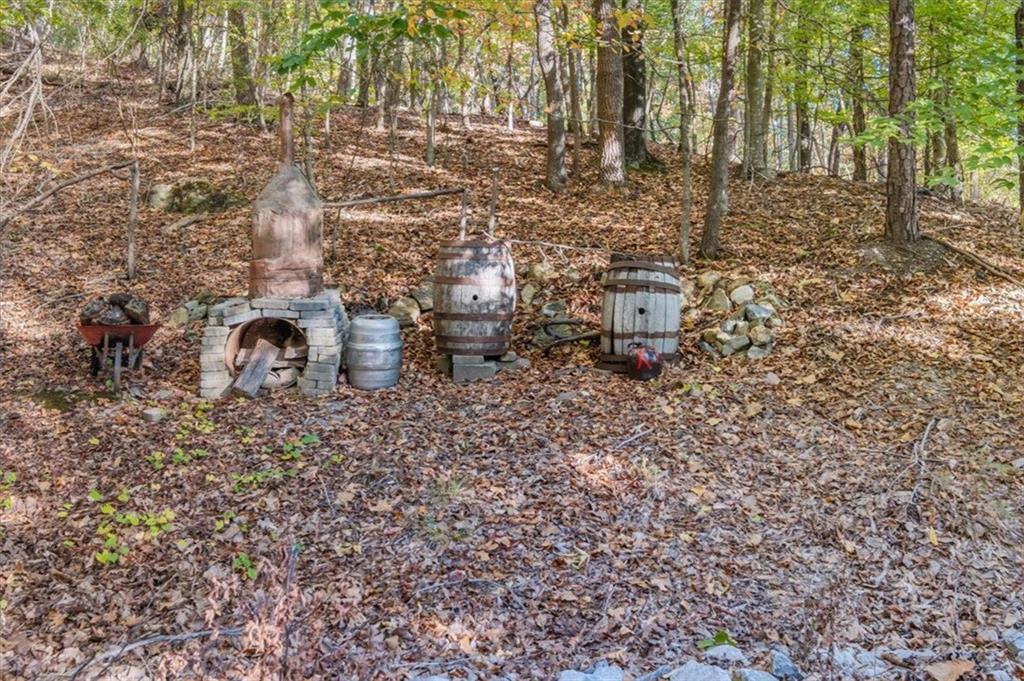831 Government Farm Road Rockmart, GA 30153 - Photo 64 of 64