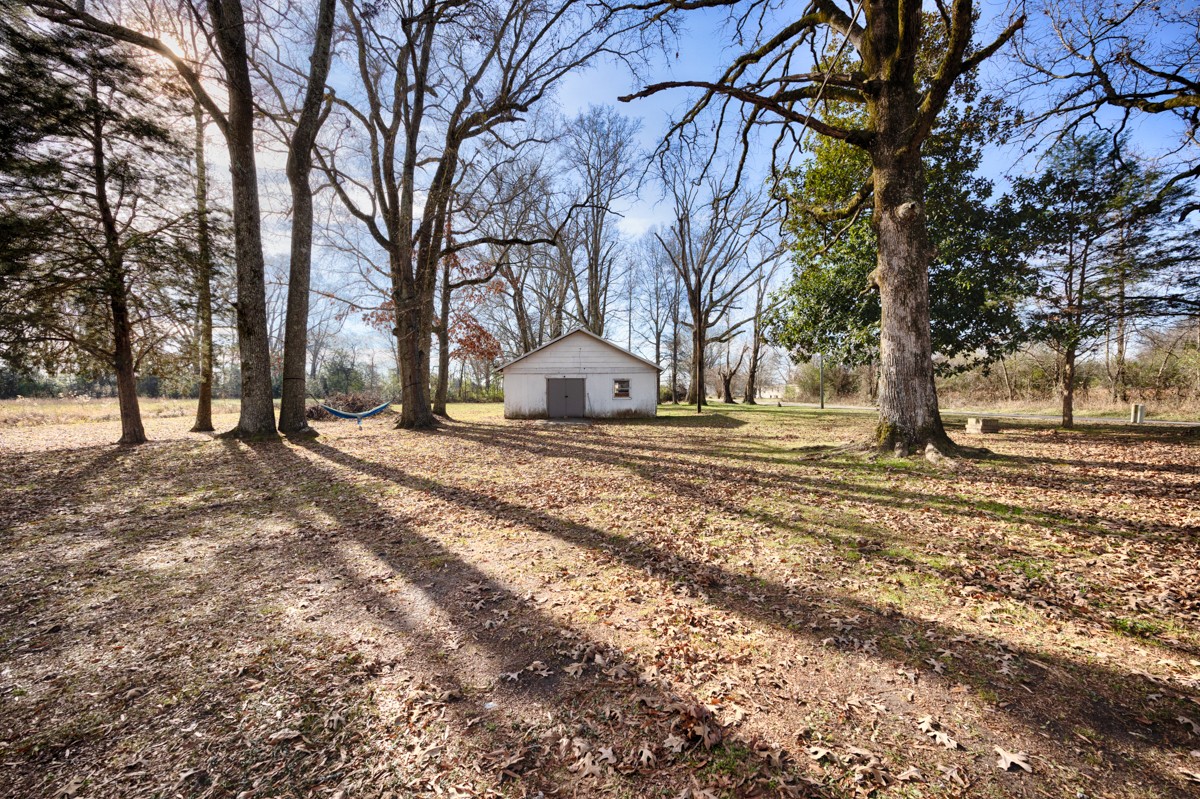 61 Minnie Brown Road Ardmore, TN 38449 - Photo 31 of 37 a view of road with large trees