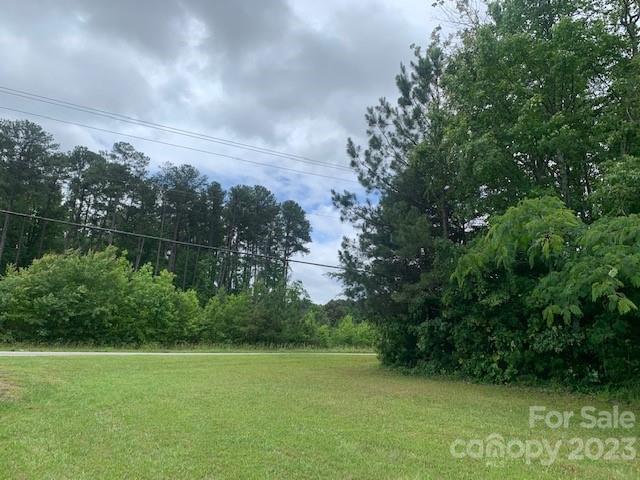 1325 Peachtree Road Charlotte, NC 28216 - Photo 3 of 6 a view of a field with a tree