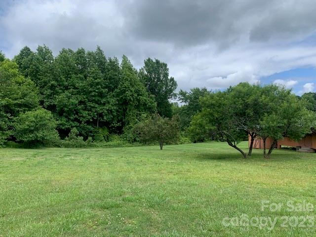 1325 Peachtree Road Charlotte, NC 28216 - Photo 4 of 6 a view of green field with trees in the background