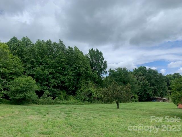 1325 Peachtree Road Charlotte, NC 28216 - Photo 5 of 6 a big yard with lots of green space and plants