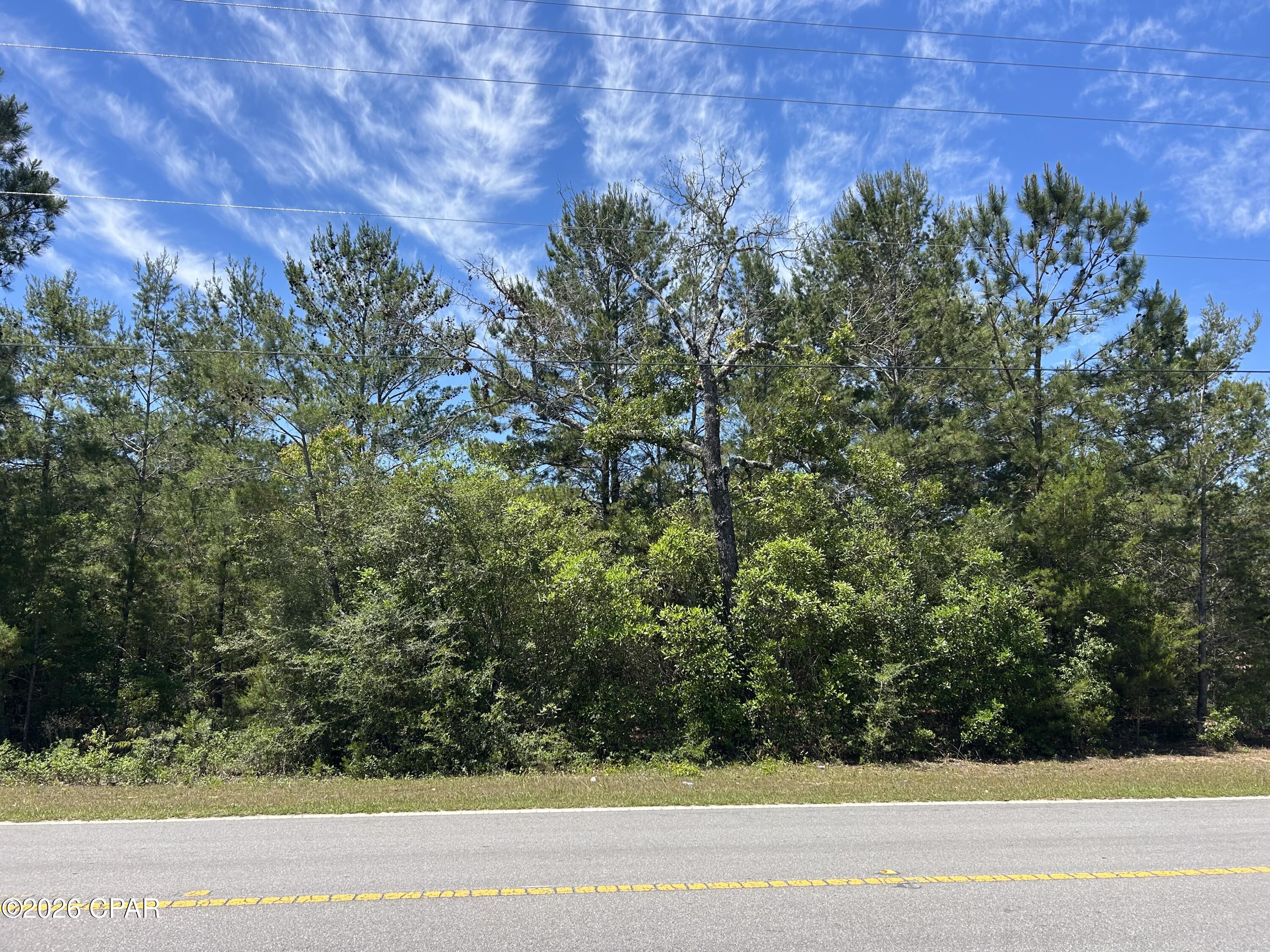 0 Bonnett Pond Road Chipley, FL 32428 - Photo 1 of 9