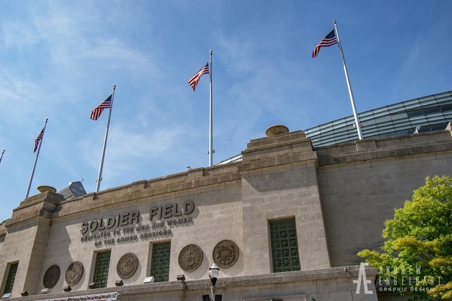 520 South State Street, Unit 1103 Chicago, IL 60605 - Photo 40 of 43 a front view of a building