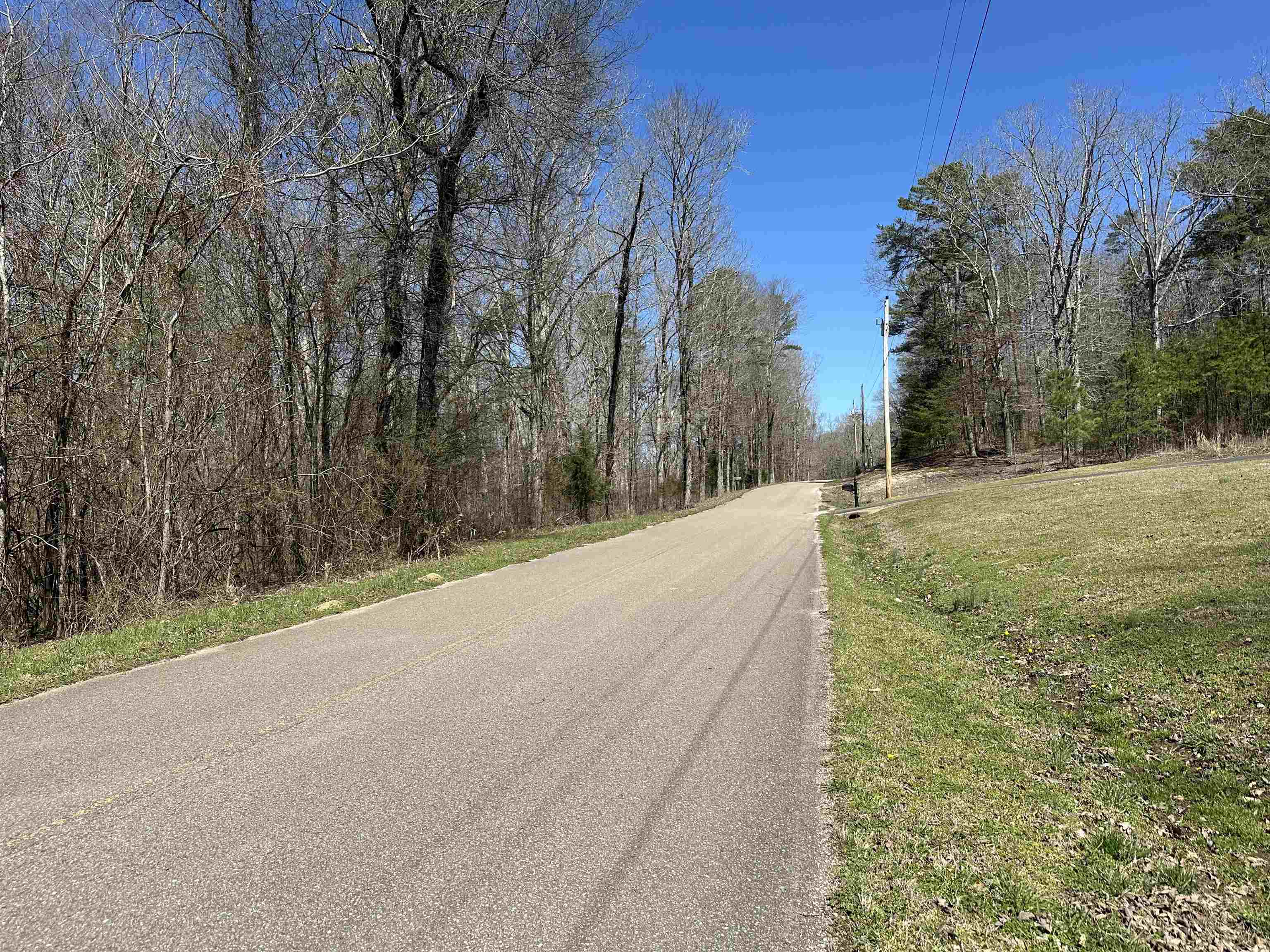 Lot 24 Bruton Branch Road Savannah, TN 38372 - Photo 1 of 12 a view of a backyard of the house