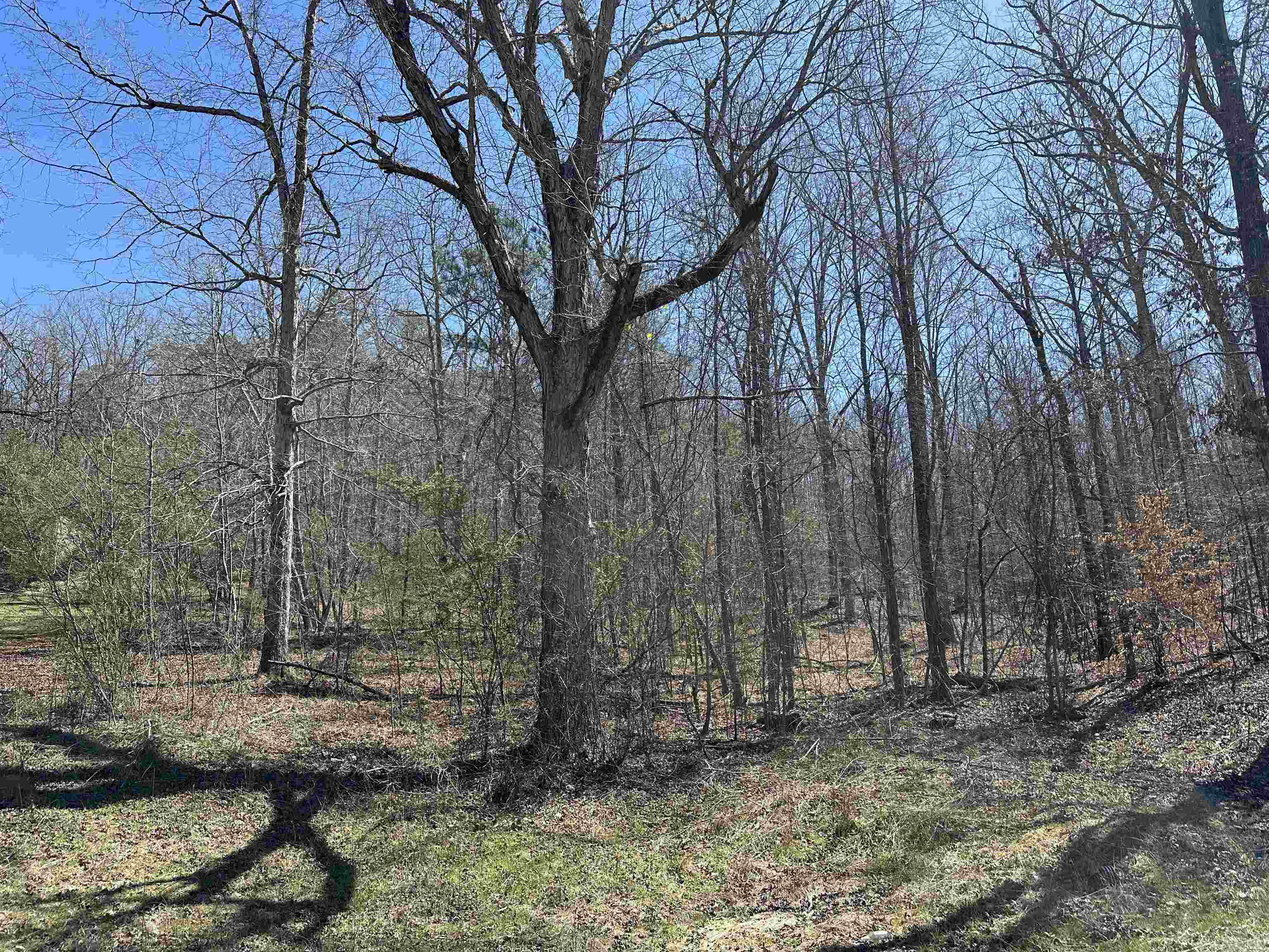 Lot 24 Bruton Branch Road Savannah, TN 38372 - Photo 11 of 12 a backyard of a house with lots of green space