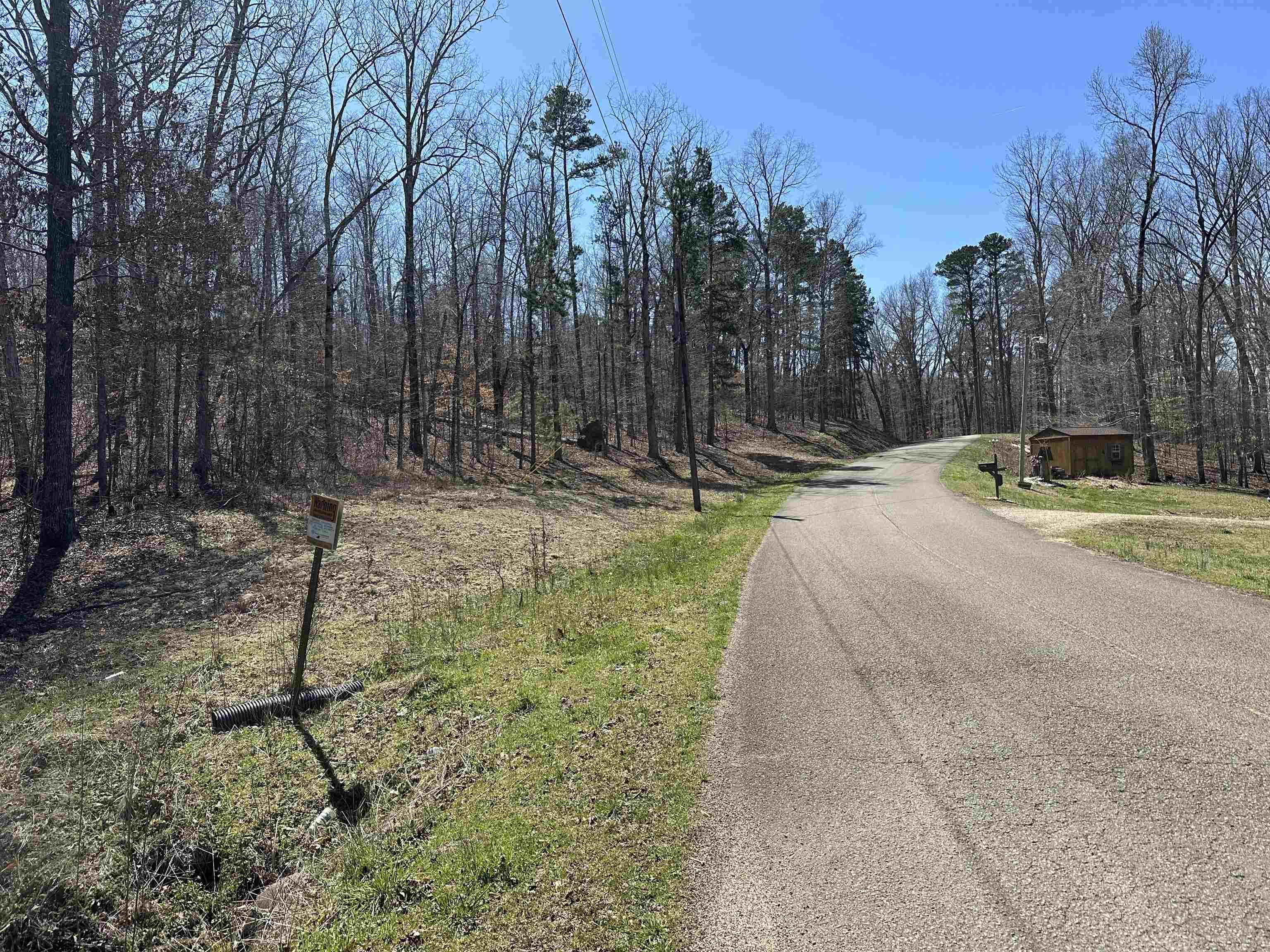 Lot 24 Bruton Branch Road Savannah, TN 38372 - Photo 12 of 12 a backyard of a house with lots of green space