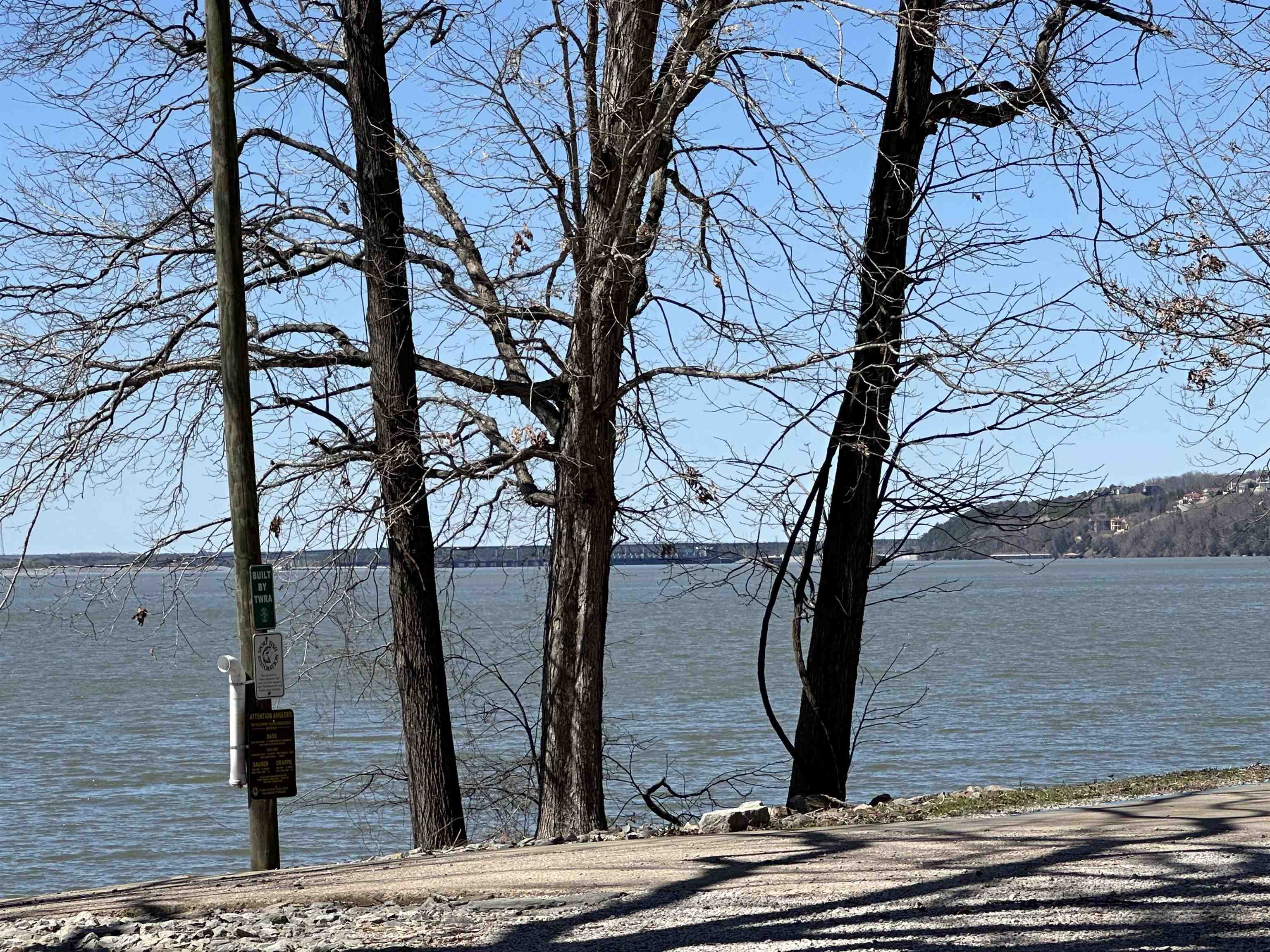 Lot 24 Bruton Branch Road Savannah, TN 38372 - Photo 3 of 12 a view of a tree with wooden fence
