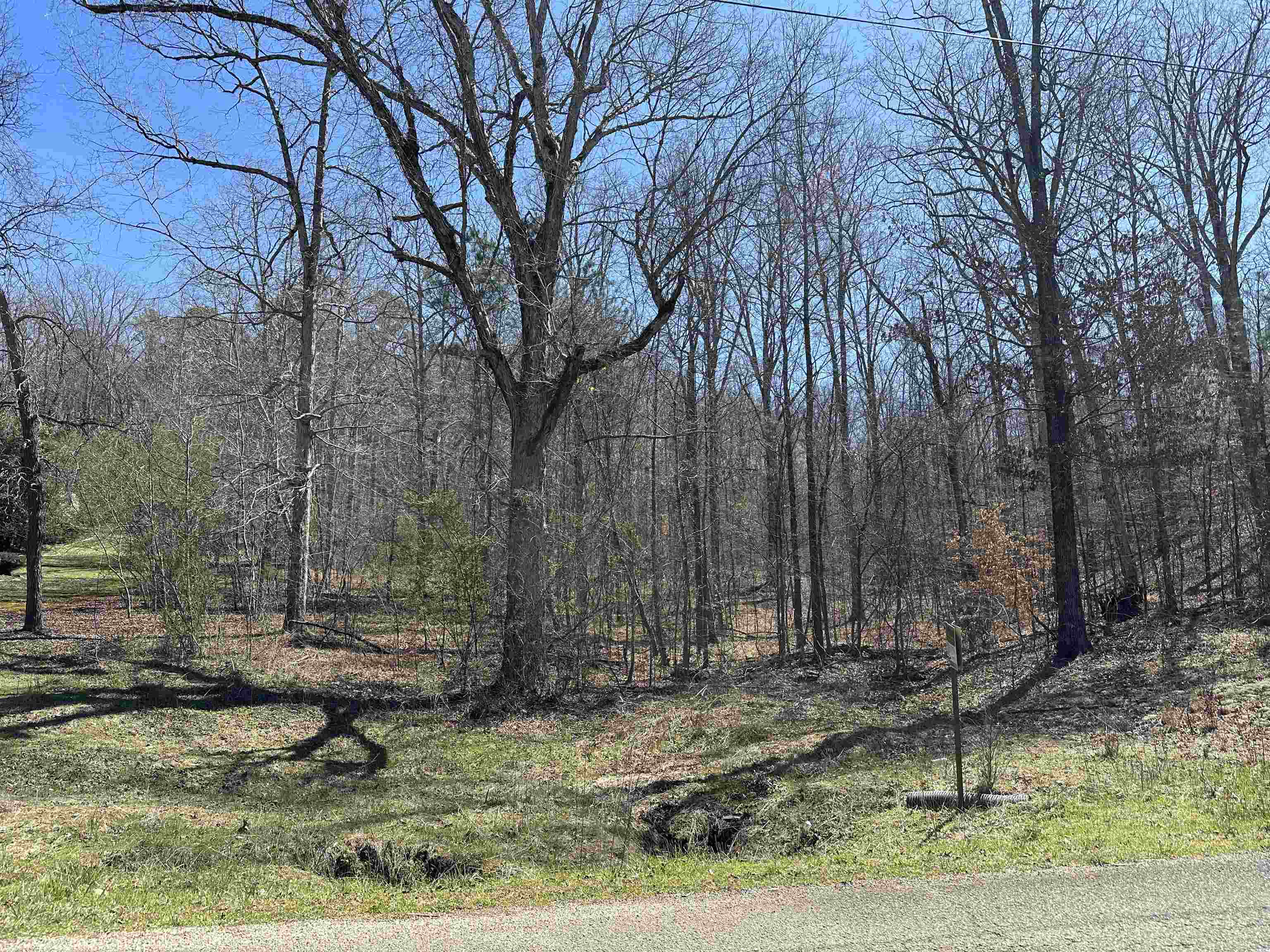 Lot 24 Bruton Branch Road Savannah, TN 38372 - Photo 9 of 12 a backyard of a house with lots of green space