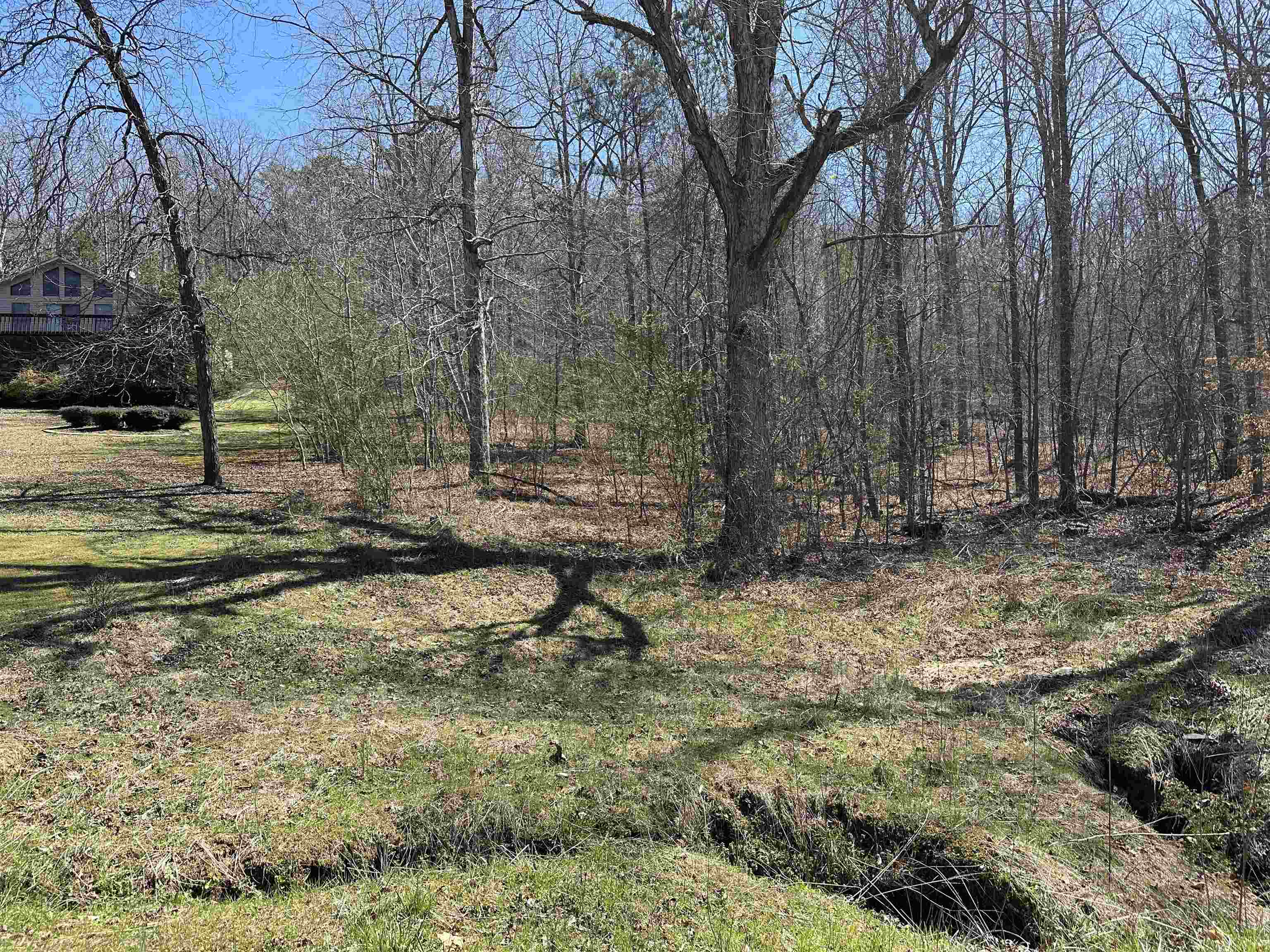 Lot 24 Bruton Branch Road Savannah, TN 38372 - Photo 10 of 12 a view of backyard with green space