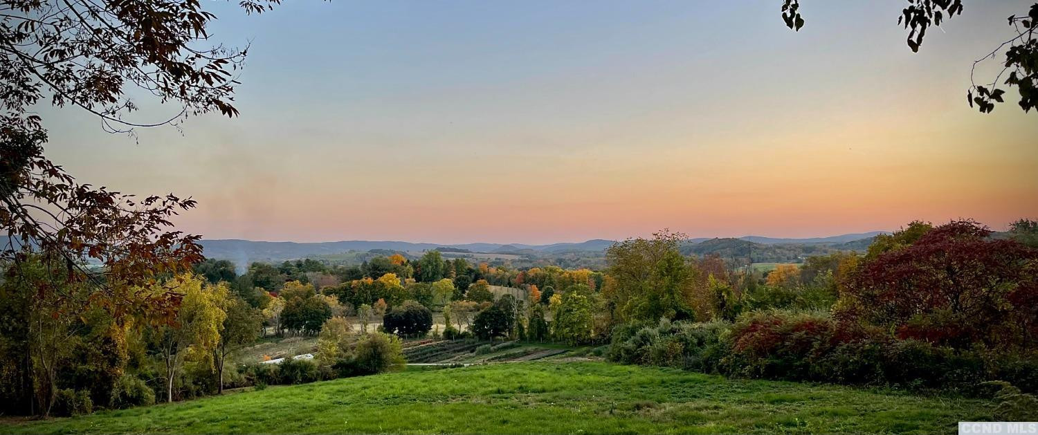 739 Center Hill Road Copake, NY 12516 - Photo 5 of 28 a view of a city with lush green forest