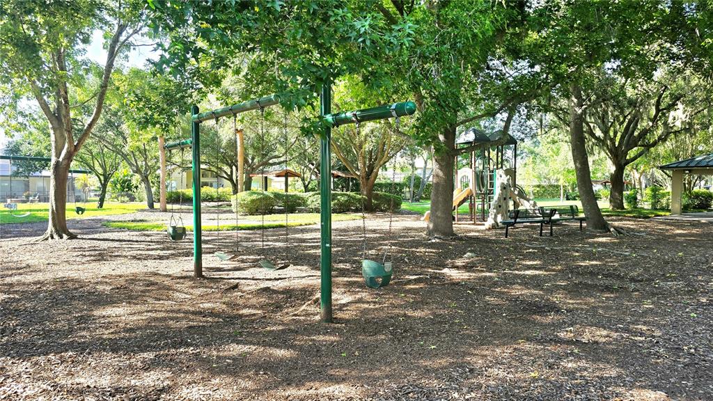 2009 Meadow Rue Court Trinity, FL 34655 - Photo 21 of 21 a view of a tree in a yard