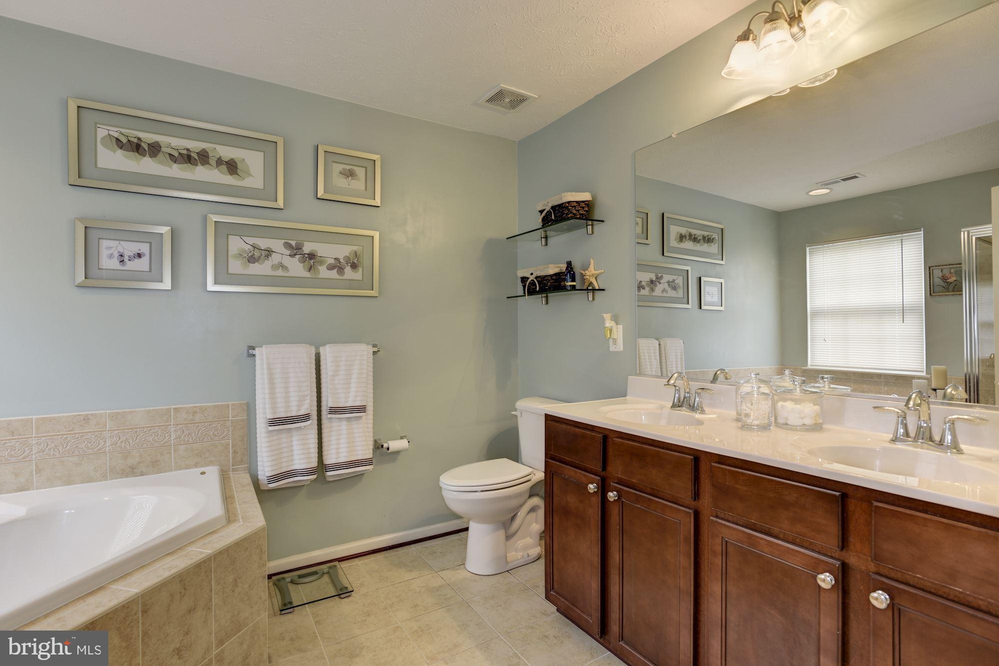 9719 Davison Road Baltimore, MD 21220 - Photo 17 of 31 Master Suite Bath