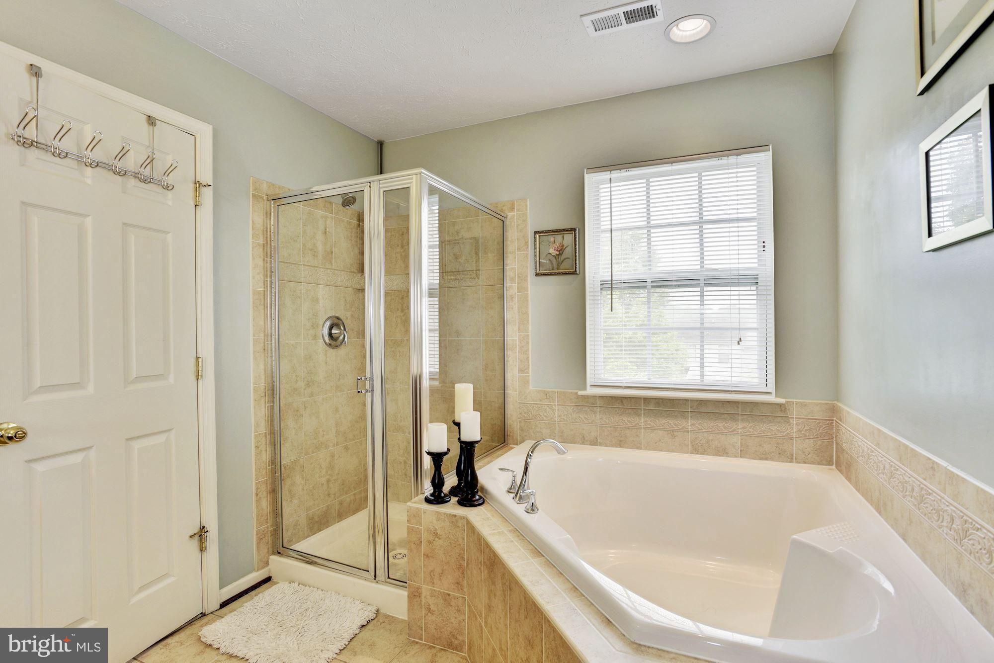 9719 Davison Road Baltimore, MD 21220 - Photo 18 of 31 Master Suite Bath