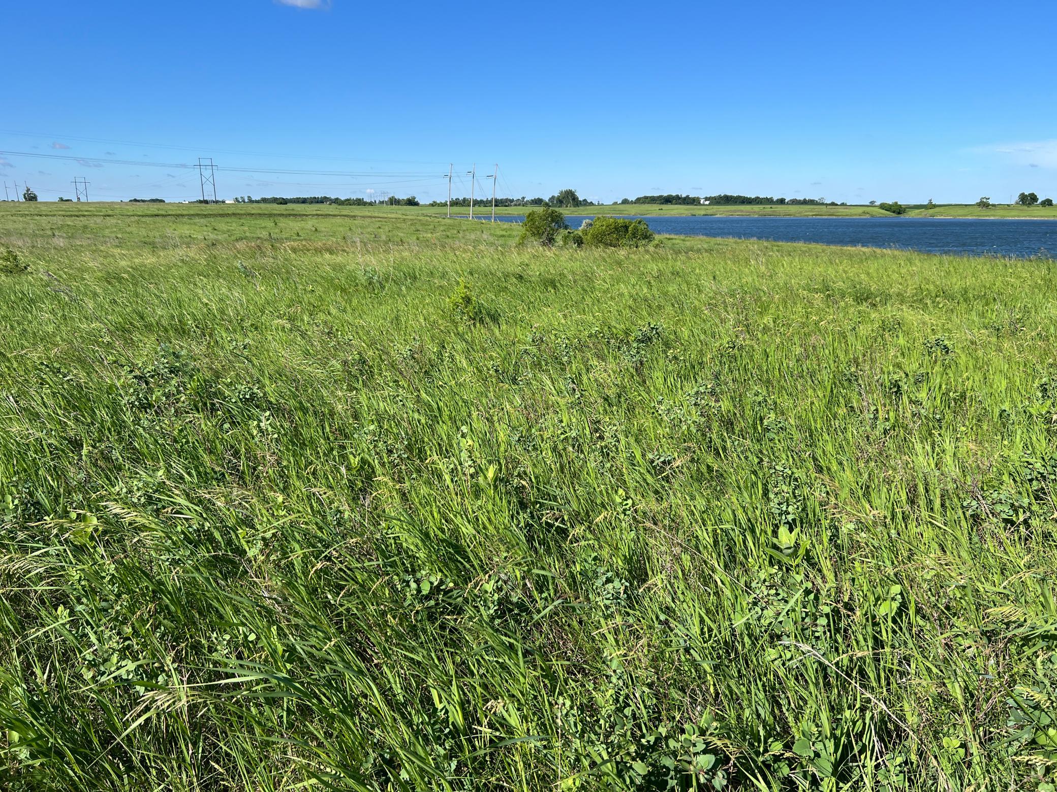 Tbd Southeast Tbd Se 90th Street Rutland, ND 58067 - Photo 42 of 105